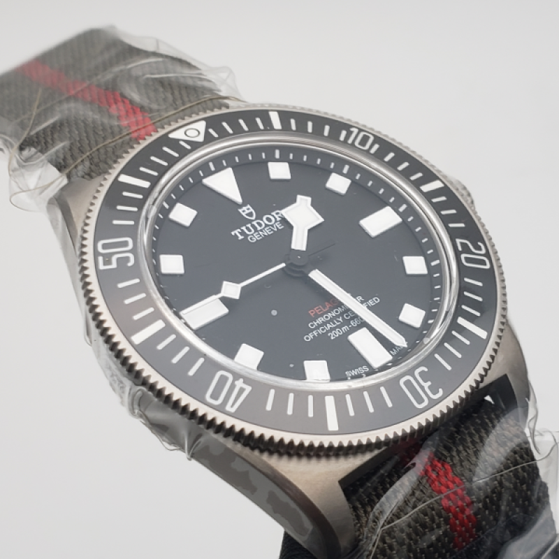 Tudor Pelagos 