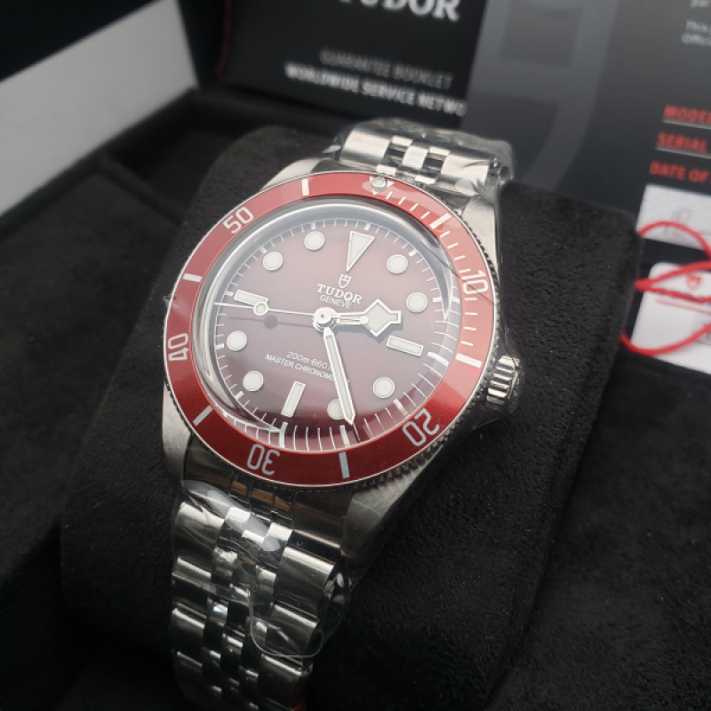 Tudor Black Bay 