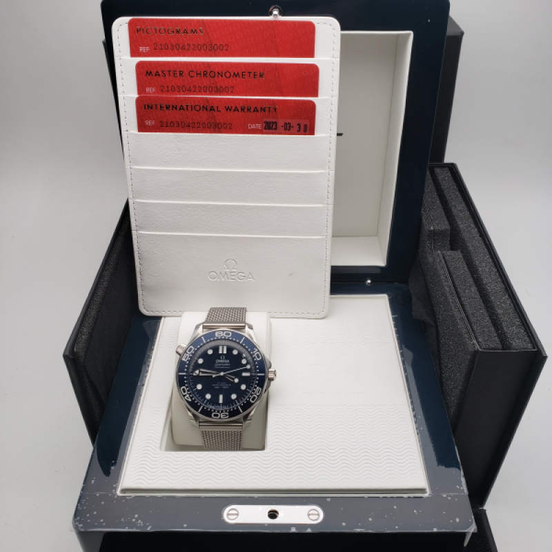 Omega Seamaster Diver 300 M 